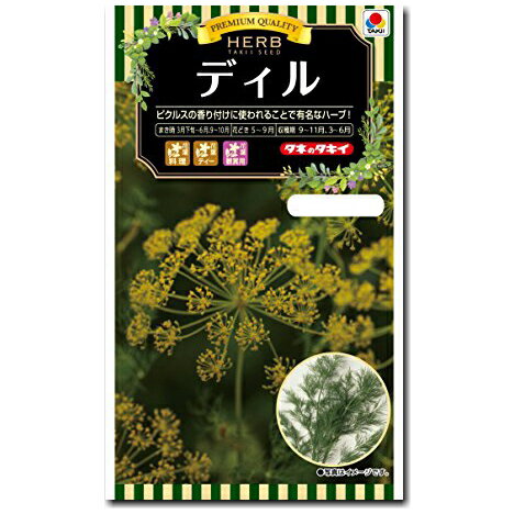 ハーブ 種子 ディル 3ml（イノンド、Dill）