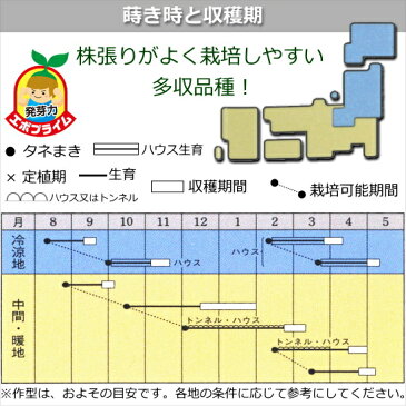 ホウレンソウ 種子 強力オーライ 1dl ほうれん草