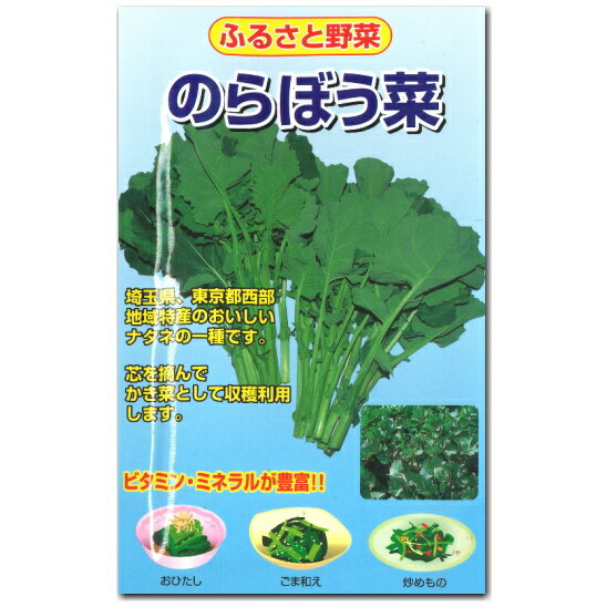 菜花 種子 のらぼう菜 3ml なばな