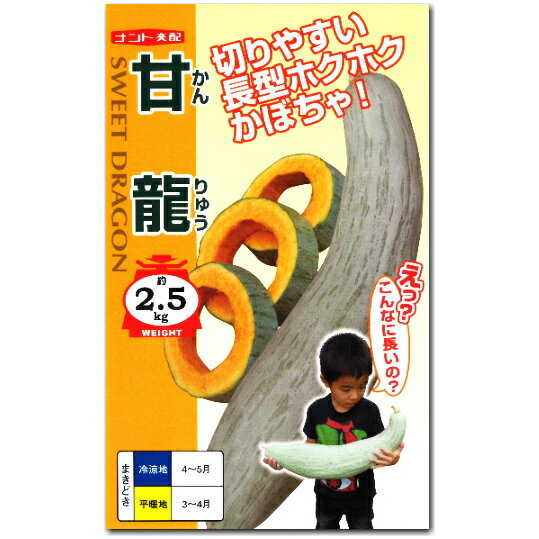 カボチャ【 甘龍（かんりゅう）】種子 5粒／かぼちゃ