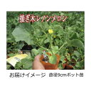 naeya:10000115のサンプル画像2