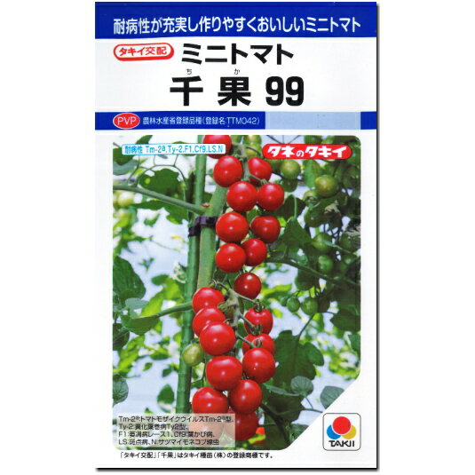 ミニトマト 種子 千果99 12粒 とまと