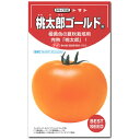 大玉トマト 種子 桃太郎ゴールド 16粒 とまと