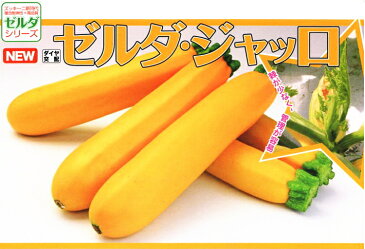 ズッキーニ 種子 ゼルダ ジャッロ 100粒