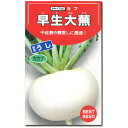かぶ 種子 早生大蕪 わせおおかぶ 3.5ml カブ