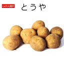 じゃがいも 種芋 とうや Sサイズ 500g ジャガイモ 【ラッキーシール対応】