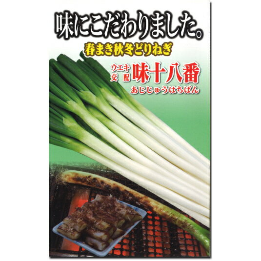 ネギ 種子 味十八番　ねぎ
