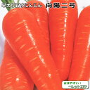 ニンジン 種子 向陽二号 人参