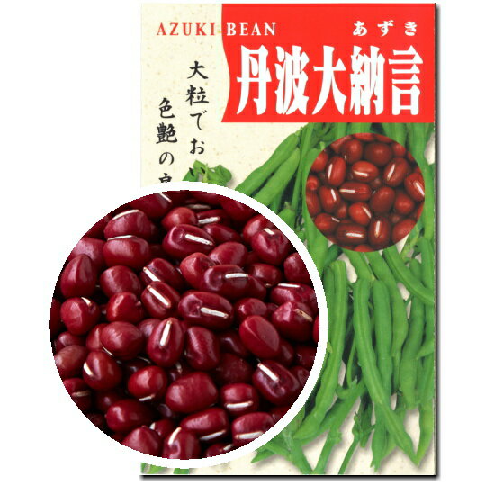 あずき 種子 丹波大納言 小豆 60ml～1dl
