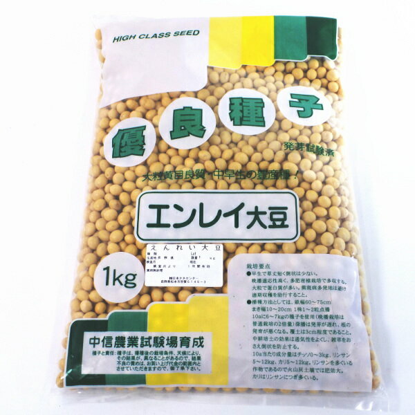 大豆 種子 エンレイ 艶麗 えんれい 1kg 長野県産