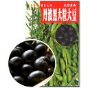 大豆 種子 丹波黒大粒大豆 60ml~1dl