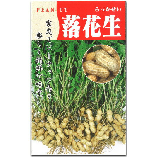 落花生 種子 小粒落花生 ピーナツ 30ml