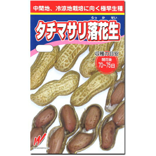 落花生 種子 タチマサリ ピーナツ 40ml～1dl