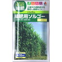 緑肥 ソルガム 種子 緑肥用 ソルゴー （面積およそ10m2分) 60ml