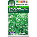 しろクローバー 種子 タキイ種苗 ホワイトクローバー　（およそ5m2分) 60ml シロツメクサ その1