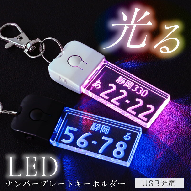 ナンバープレート キーホルダー 光る ナンバープレート キーホルダー 【 ナンバープレートキーホルダー ・ LED 】誕生日 プレゼント ギフト 記念日 リアル ledライト USB 充電 おしゃれ かっこいい 車 自動車 バイク 彼氏 旦那 男性 父 メンズ 20代 30代 40代 50代 雑貨 翌々営業日出荷