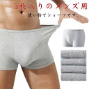 ボクサーパンツ 個別包装 使い捨てパンツ グレー ボクサータイプ 入院 使い捨てボクサーパンツ 5枚セット ショーツタイプ メンズ ボクサーパンツ 使い捨てパンツ メンズ 使い捨て下着 使い捨てショーツ メンズ下着 メンズ トラベルショーツ 旅行 携帯 ショーツ(4)