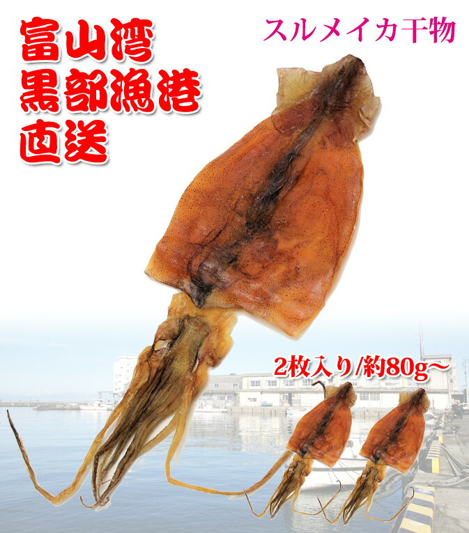 【スルメイカ干物】富山湾　くろべ漁港直送　無添加　いか　美味しい　日本海　海...