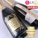 (名入れ スパークリングワイン)シャンドン ブリュット 750ml 名入れ 名前入り お酒 酒 ギフト 彫刻 プレゼント 成人祝い 結婚記念 誕生日 出産祝い 男性 女性 贈り物 退職祝い 卒業祝い 結婚祝い お祝い 開店祝い【送料無料】【名入れ】