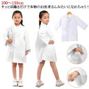お医者さんごっこ 医者 獣医 なりきり 衣装 白衣 コスプレ 診察 子供 コスプレ ドクター 子ども お医者さんごっこ こども用 科学者 博士 実験 仮装 医者...