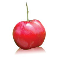 ブラジル産アセロラピューレ(Pulpa de Acerola) 1000g（100g×10袋）