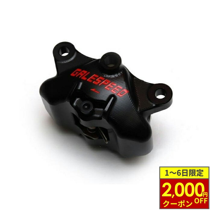 ��3/1�������2,000��OFF�����ݥ��GALE SPEED �����륹�ԡ��� Elaborate �ꥢ2P ��������륭���ѡ� 84mm ��34 �������...