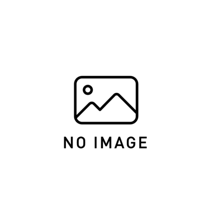 ＼ポイント10倍／ Arai アライ VAS-A MV ミラーシールド