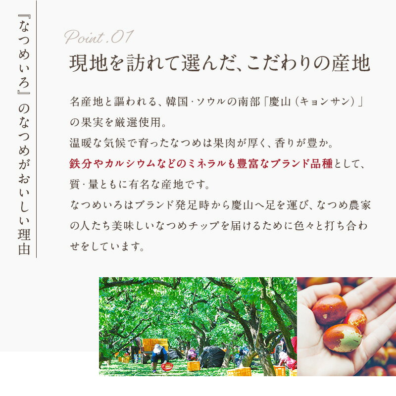 【ポイント5倍5/920:00~5/161:59】通常価格より14%OFF★なつめチップ24gtimes;10個(母の日ギフトなつめチップス棗ドライフルーツドライなつめ無添加無着色砂糖不使用こどもおやつお菓子間食ダイエット中低カロリー薬膳自然食プレゼント出産祝い韓国)