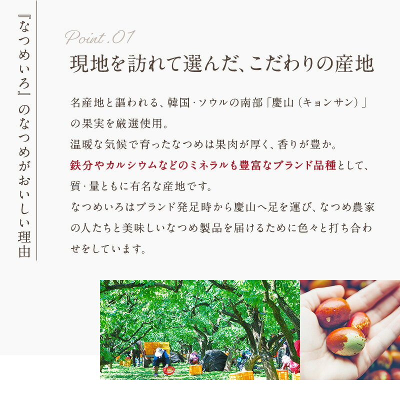 送料無料&1000円ぽっきりなつめのお茶お試しパック人気No.1のなつめのお茶3gtimes;8袋!(無農薬国産ティーバッグ薬膳茶冷え性妊娠中妊婦授乳中フルーツティープレゼントギフトなつめ茶ナツメ)
