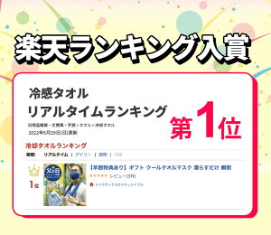 ギフト クールタオルマスク 濡らすだけ 瞬間ひんやり 冷感タオル と 冷感マスク 特別セット 普段使い 接触冷感 マスク ひんやりマスク 熱中症対策グッズ 冷却クールタオル 子ども 父の日 プレゼント 実用的