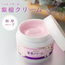 エイジングケア 紫根クリーム ( シコンエキス 配合 ) 35g cream 保湿クリーム 紫根 スキンケア 保湿 ヨクイニン ( ハトムギ ) エキス ユズセラミド 植物性 スクワラン アボカドオイル ヒアルロン酸 配合