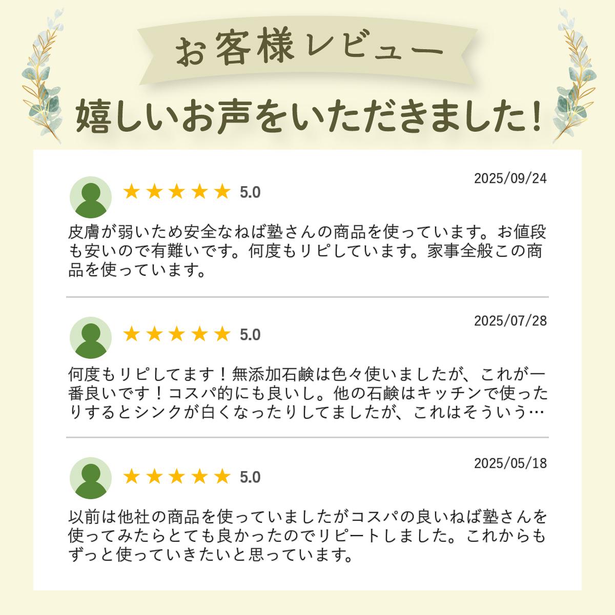 【 直営店 】ねば塾 液体石けん 詰め替え キッチン 手洗い 洗濯　お風呂 浴槽 お風呂洗い 肌着 赤ちゃん お掃除 無添加 敏感肌 乾燥肌 手にやさしい肌に優しい ガラス磨き 窓ふき ヤシ油 カリ石ケン しらかば 掃除 大掃除 しらかばえきたいせっけん1000ml×2個 2
