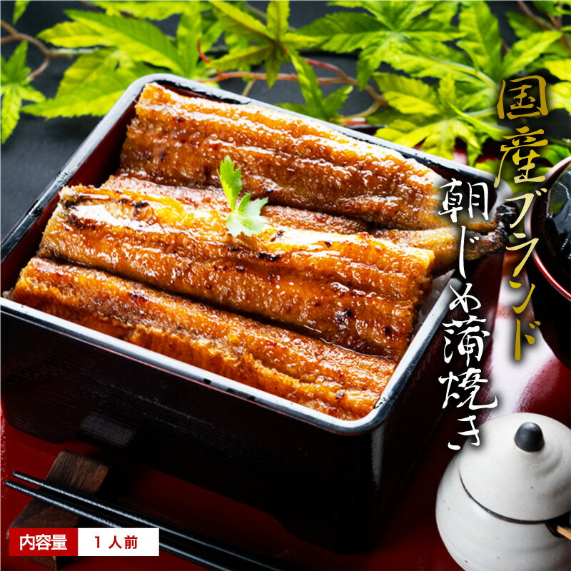 母の日早割 国産 うなぎ 蒲焼き 朝じめ活うなぎ 蒲焼き 1尾 約140〜160g ［1人前］ 食べ物 誕生日 お祝い 内祝い お返し 蒲焼 蒲焼き 国内産 食品 土用丑 うなぎ 国産 ウナギ 鰻 ギフト プレゼント グルメ 冷蔵 うなぎ蒲焼 高級 お歳暮