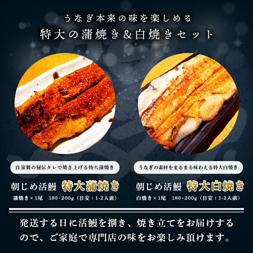 国産うなぎ 朝じめ特大 父の日 ギフト 蒲焼き 白焼き 紅白セット 約360~400g 発送日に焼き上げ発送 ［1-2人前］ 食べ物 誕生日 お祝い 内祝い お返し 結婚内祝い 国内産 お歳暮 うなぎ 国産 ウナギ 鰻 プレゼント 60代 70代 80代 グルメ 出産内祝 鰻 蒲焼 蒲焼き 食べ物