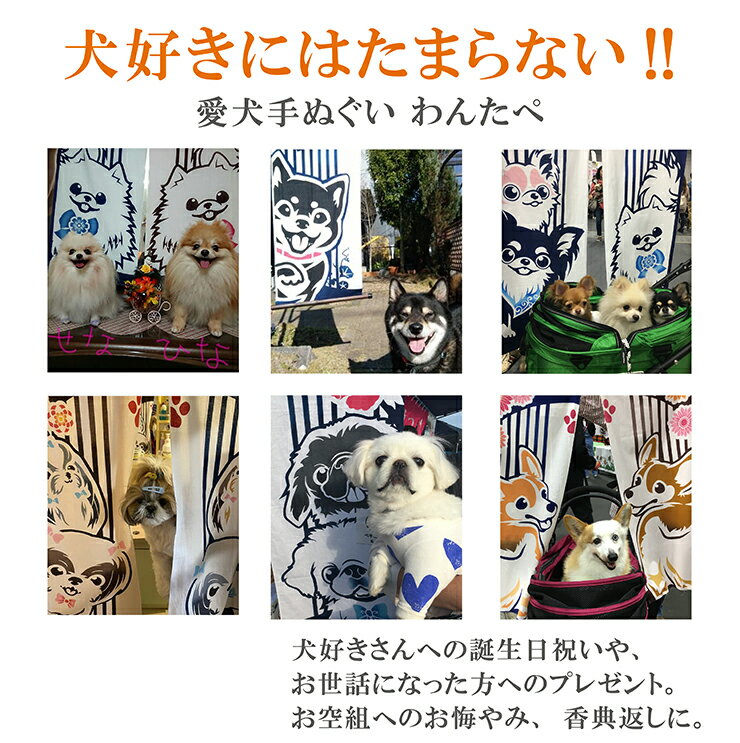 ボーダーコリー 手ぬぐい
