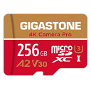 5年保証 Gigastone マイクロSDカード 256GB A2 V30 Ultra HD 4K ビデオ録画 Gopro アクションカメラ スポーツカメラ 高速4Kゲーム 動作確認済 100MB/s マイクロSDXC UHS-I U3 Class