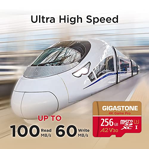 5年保証 Gigastone マイクロSDカード 256GB A2 V30 UHS-I U3 Class 10 100/60 MB/S 高速 Gopro アクションカメラ スポーツカメラ 4K Ultra HD 動画 SD変換アダプタ付き ミニ収納