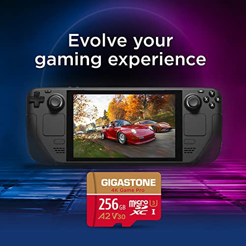 5年保証 Gigastone マイクロSDカード 256GB A2 V30 UHS-I U3 Class 10 100/60 MB/S 高速 Gopro アクションカメラ スポーツカメラ 4K Ultra HD 動画 SD変換アダプタ付き ミニ収納