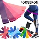 FORGERON 強度別 トレーニングチューブ 5本セット 収納袋付 強度表示あり エクササイズバンド ストレッチゴム ゴムチューブ フィットネス 体幹 筋トレ...