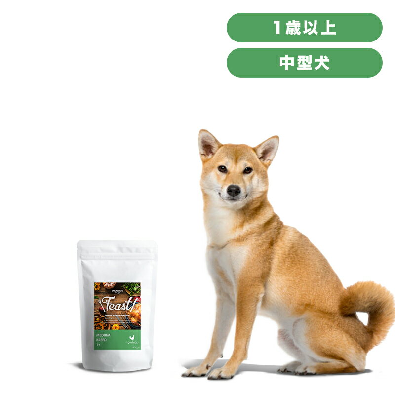 INUMESHI　フィースト　1歳以上　中型犬用　3kg（1kg×3個）