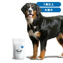 INUMESHI　フィースト　1歳以上　大型犬用　3kg（1kg×3個）