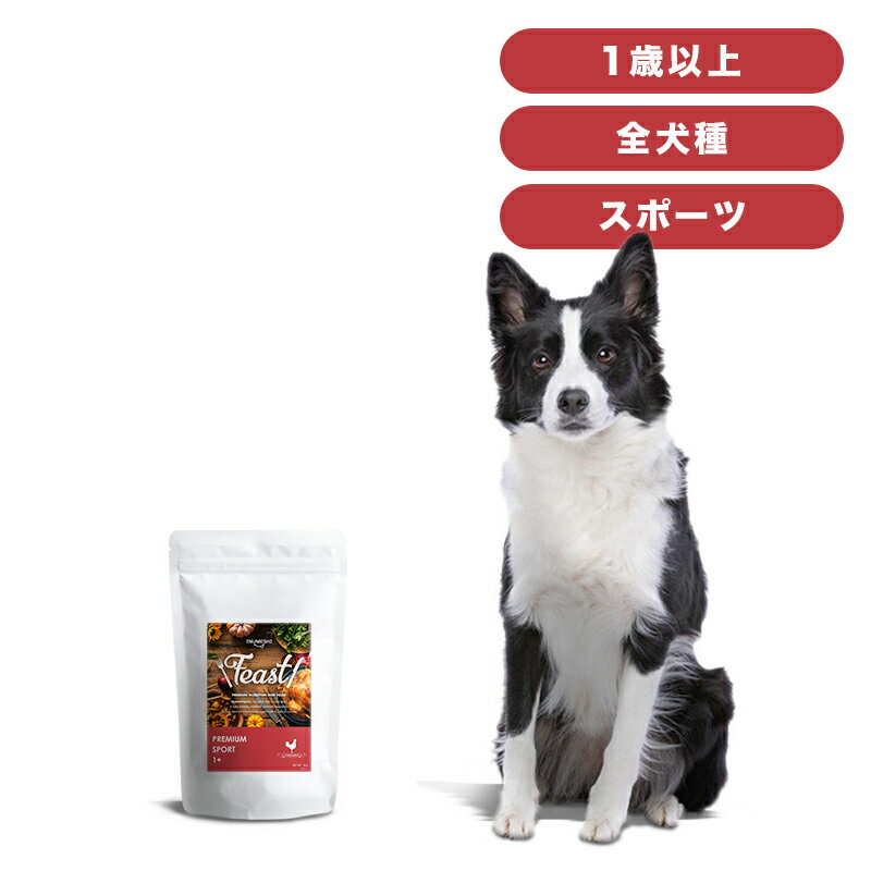 INUMESHI　フィースト　プレミアム　スポーツ　1歳以上　活発犬用　1kg