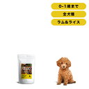 INUMESHI　フィースト　ラム&ライス　子犬用　全犬種用　3kg（1kg×3個）