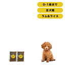 INUMESHI　フィースト　ラム&ライス　子犬用　全犬種用　200g（100g×2袋）　おためしパック