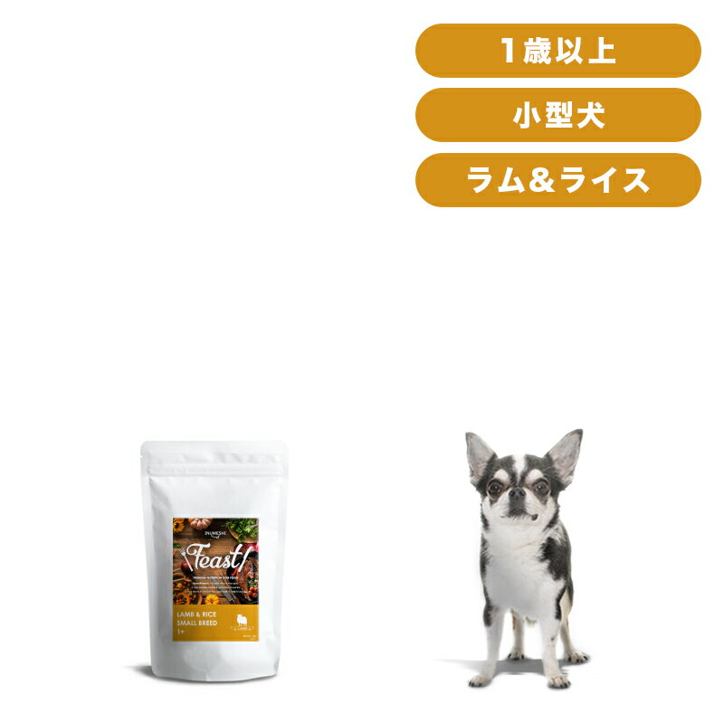 INUMESHI　フィースト　ラム&ライス　1歳以上　小型犬用　3kg（1kg×3個）