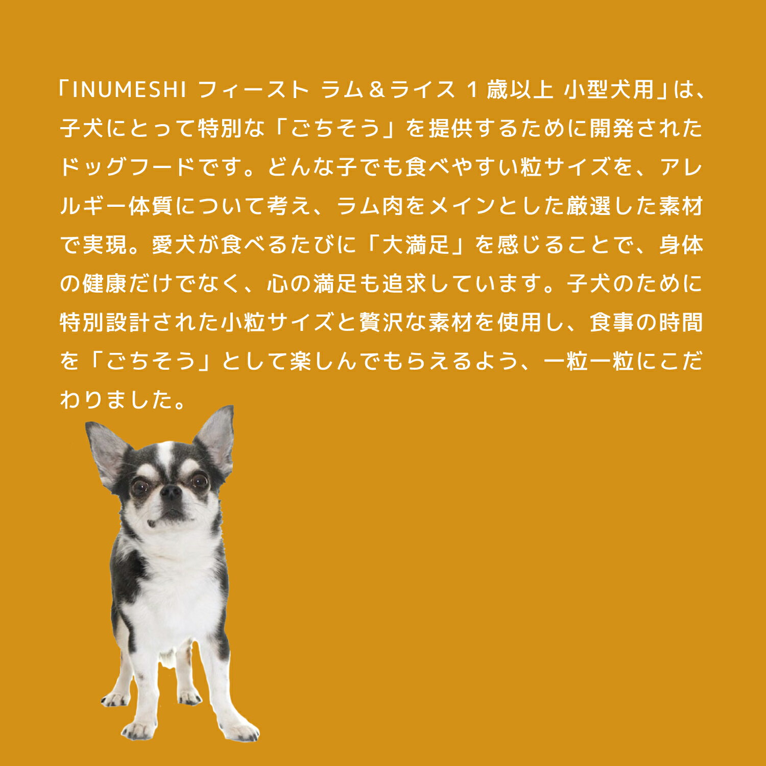 thum3