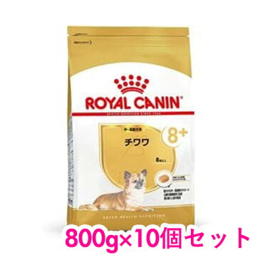 ロイヤルカナン チワワ 中・高齢犬用 800g×10個セット