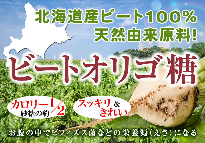 北海道産 ビートオリゴ糖 （ラフィノース） 1kg×2袋 【送料無料】【メール便で郵便ポストにお届け】【代引不可】【時間指定不可】 ビフィズス菌の栄養源 [01] NICHIGA(ニチガ) 甜菜 てんさい から作られたオリゴ糖