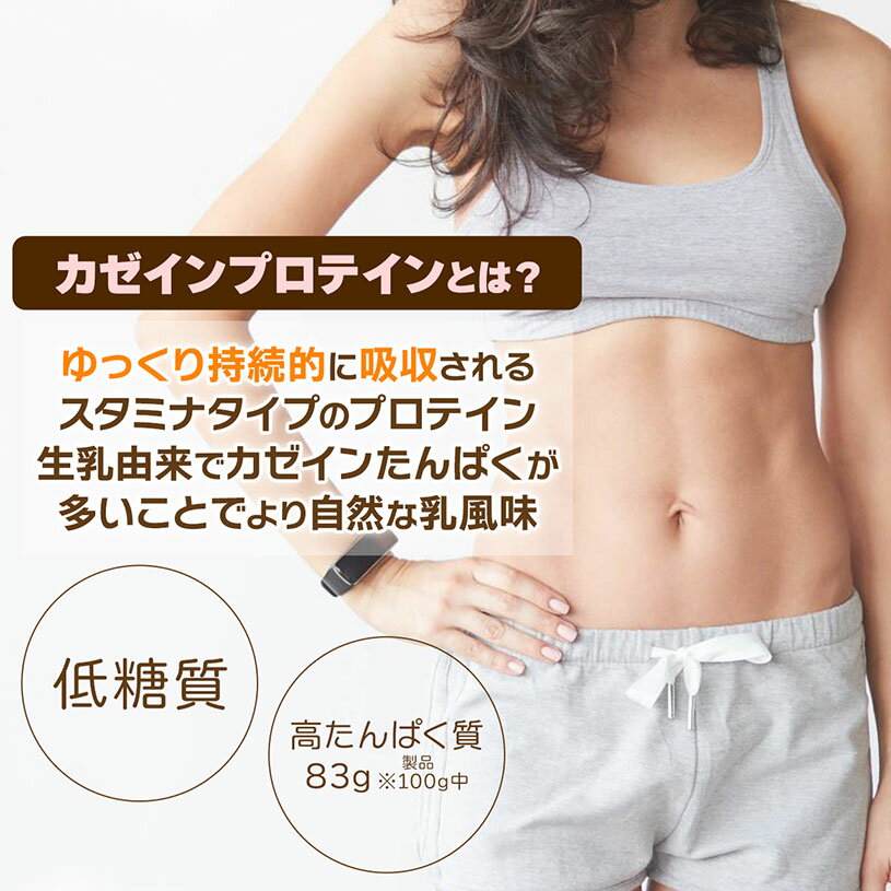 �������� �ߥ��� �ץ��ƥ��� 500g Casein Protein �ץ졼��̣ �⥿��ѥ��� ������ �������Ի��ѡ���̣���Ի��ѡ������Ի��� [02] NICHIGA(�˥���)