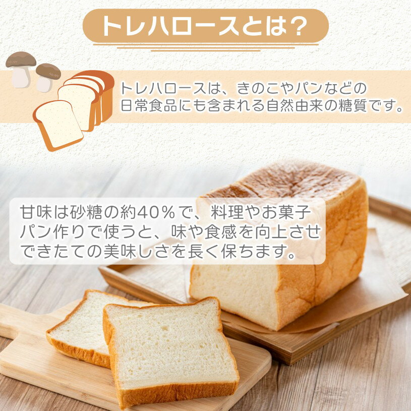 軽食品関連 調味料関連グッズ